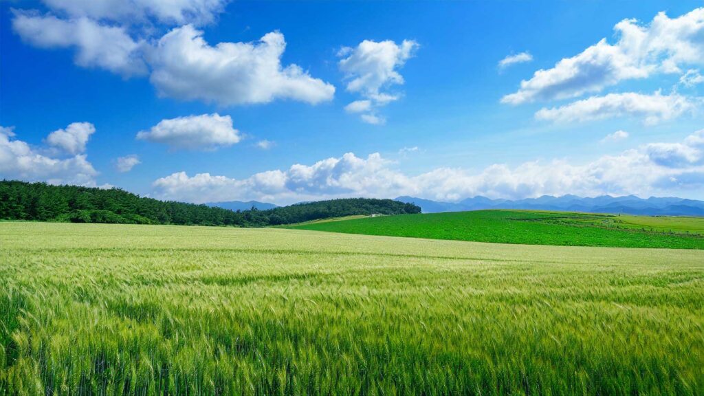 客室投稿テスト